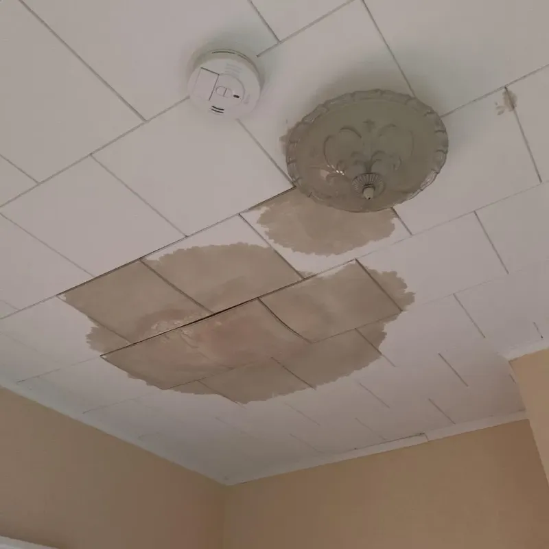 Ceiling Water Damage Repair in West Milwaukee, WI