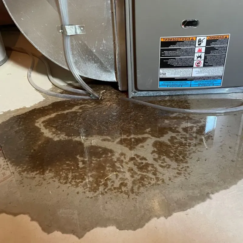 Pipe Burst and Leak Restoration in West Milwaukee, WI